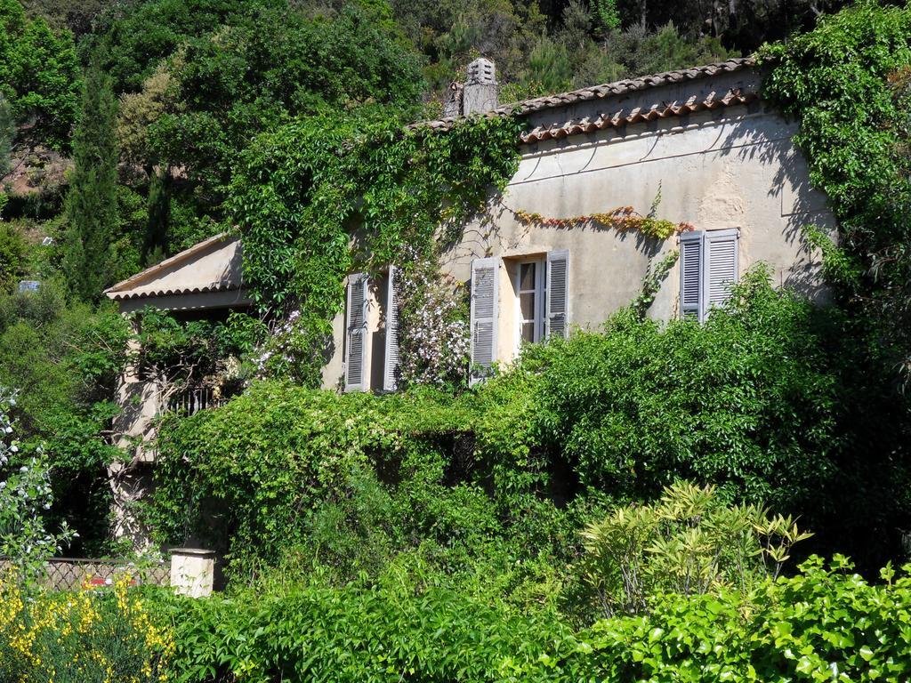 La Maison D'Allouma La Garde-Freinet Exterior foto