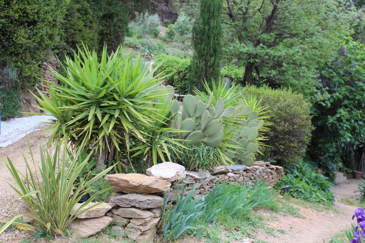 La Maison D'Allouma La Garde-Freinet Exterior foto